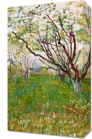 Obraz 30x50cm The Flowering Orchard, Van Gogh Vintage
