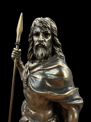 NORDYCKI BÓG BALDUR VERONESE (WU75354A4) na Arena.pl