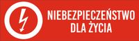 Tabliczka Niebezpieczeństwo dla życia grawer piktogram 20x6 cm dużo wzorów