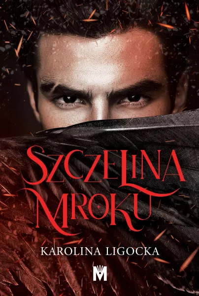 Szczelina mroku zdjęcie 1