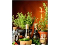 40X50CM PRZYPRAWY ZIOŁOWE OBRAZ