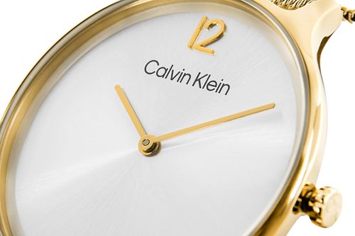 zegarek damski calvin klein timeless mesh 25200003 + box na Arena.pl