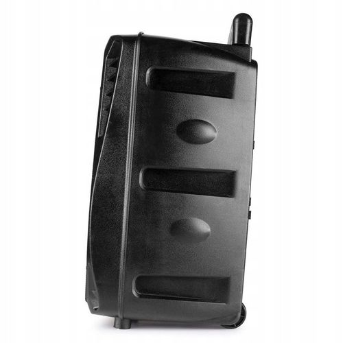 Głośnik BLUETOOTH karaoke 300W MIC PILOT BATERIA na Arena.pl