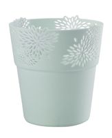 OSŁONKA ASTER 14,5 CM MIĘTA