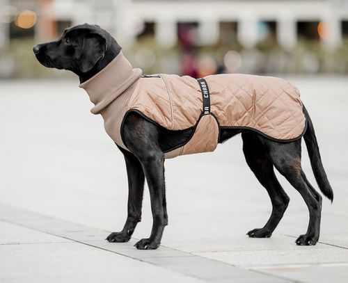 Chaba Kubrak Regulowany Chic S beige na Arena.pl