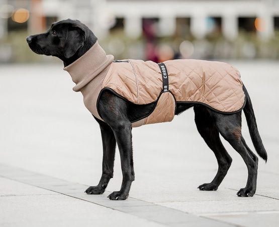 Chaba Kubrak Regulowany Chic S beige zdjęcie 9