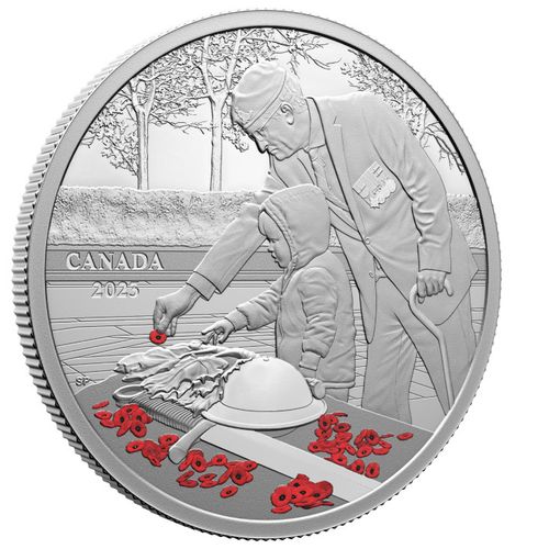 Canada: Remembrance Day kolorowany $20 Srebro 2023 Proof na Arena.pl