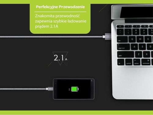 Benks Kabel Typ C Grey na Arena.pl
