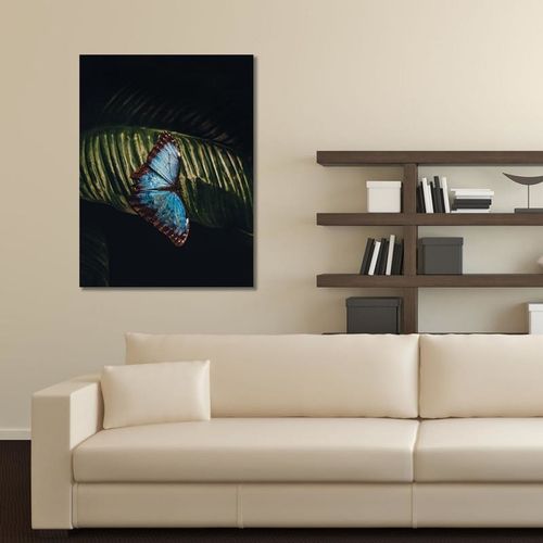 Deco Panel, Motyl na liściu 50x70 na Arena.pl