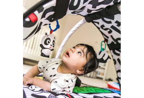 DUMEL 113985 Baby Einstein Mata na Arena.pl