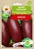 Burak ćwikłowy podłużny Opolski 6 m taśmy 120 nasion