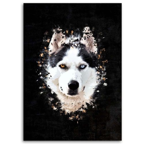 Obraz na płótnie – Canvas, Husky syberyjski 70x100 na Arena.pl