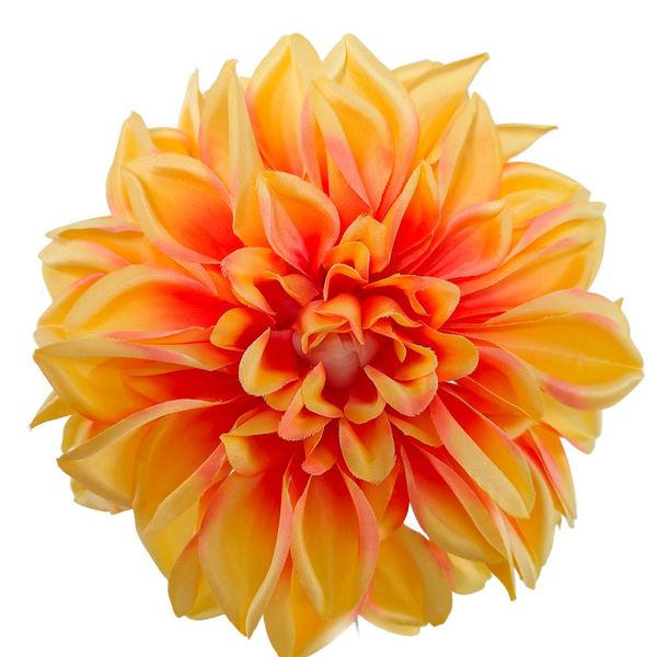 Dalia wyrobowa apricot zdjęcie 1