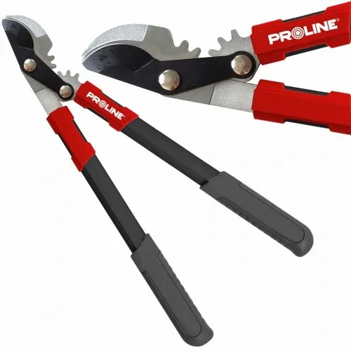 SEKATOR DWURĘCZNY NOŻYCE DO OGRODU GAŁĘZI PROLINE na Arena.pl