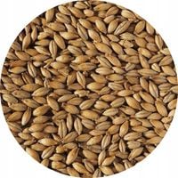 Słód jęczmienny PALE ALE 5kg Viking Malt (Strzegom) śruta/ziarno