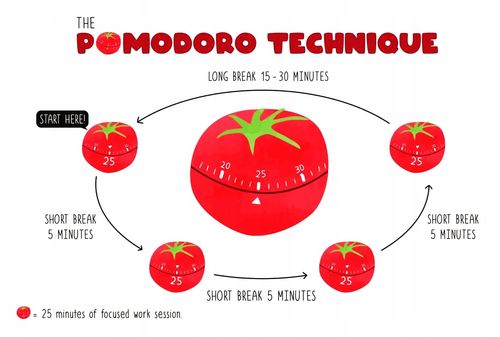 Minutnik Timer Podwójny TermHoff MK-02 Pomodoro na Arena.pl