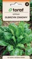 Szpinak OLBRZYM ZIMOWY nasiona 10 g