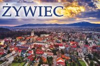 product-compare-52615452