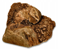 BIOTOP Korzeń wrzośca naturalny twardy gryzak psa wrzosiec 300-500g L