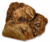 BIOTOP Korzeń wrzośca naturalny twardy gryzak psa wrzosiec 300-500g L