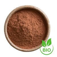 Kakao w proszku ekologiczne bio do wypieków ciasta koktajlu 10% tłuszczu z magnezem 200g