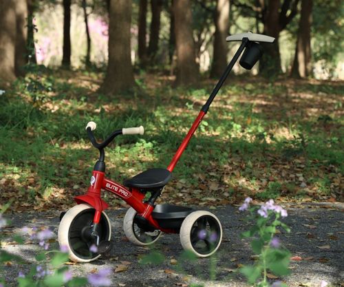 ND18_5903 Qplay Rowerek Trojkolowy Elite Pro Red na Arena.pl