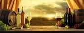 FOTOTAPETA kuchenna WINO WIDOK WINOGRON BUTELKI