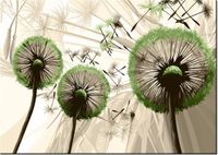 60CM 50CM OBRAZ ŚCIENNY DMUCHAWCE ZIELENI DRUK PŁÓTNO