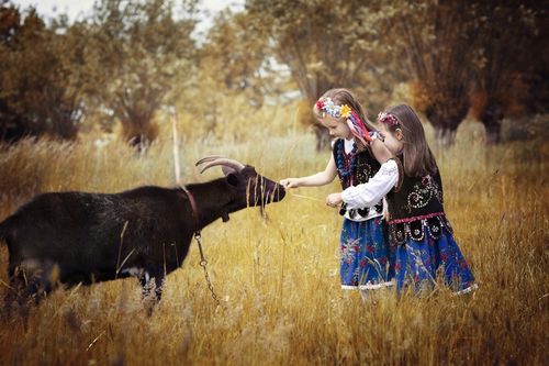 MIESZANKA STUDENCKA UCZCIWE PROPORCJE EPICKA 1KG na Arena.pl
