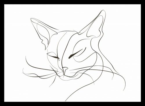 Plakat 35x25cm Linijny Kot na Arena.pl