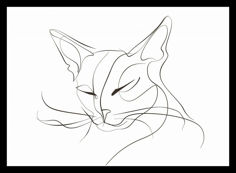 Plakat 35x25cm Linijny Kot zdjęcie 2