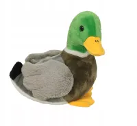 Maskotka Pluszowa Dzika Kaczka kaczuszka 18 cm Ptak Pluszak