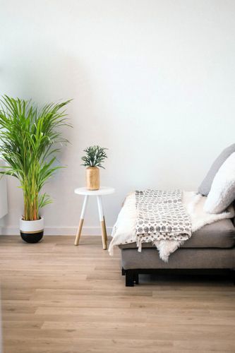 Palma AREKA (ARECA) 120cm na Arena.pl