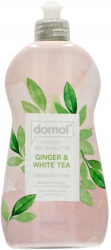 DOMOL PŁYN DO MYCIA NACZYŃ GINGER WHITE TEA 500 ML na Arena.pl