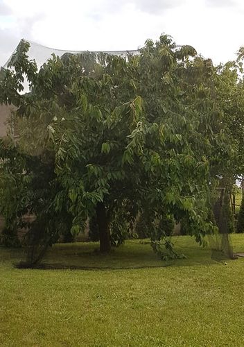 SIATKA NA OCZKO WODNE OCHRONNA NA truskawki PTAKI WZMACNIANA 4x5m +KOTWY na Arena.pl