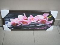 obraz czarna rama 20/50  7767
