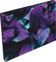 product-compare-62145688