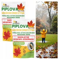 Mikrokoniczyna drobnolistna koniczyna nasiona wzbogaca trawnik 2x500g 400m2