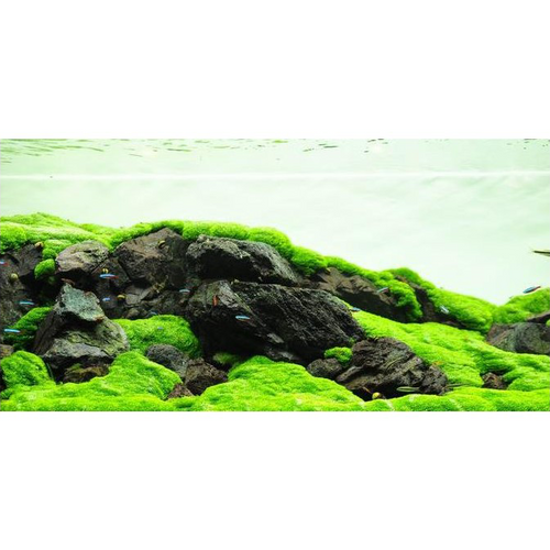 ADA Manten Stone 1 kg na Arena.pl