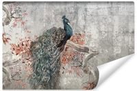 Fototapeta Do Sypialni PAW Beton Mur Kwiaty Abstrakcja 450cm x 300cm