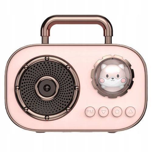 BEZPRZEWODOWY ZESTAW DO KARAOKE DLA DZIECI GŁOŚNIK BLUETOOTH + 2 MIKROFONY na Arena.pl