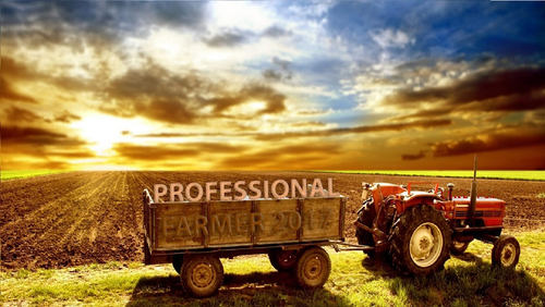 PROFESSIONAL FARMER 2017 [PC] BOX na Arena.pl
