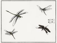Plakat 20x15cm Ważki ilustracja Morimoto Toko Japoński Vintage do Salonu