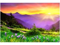 product-compare-58694306