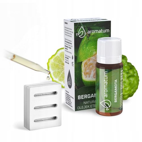 OSUSZACZ POWIETRZA 12L/24H POCHŁANIACZ WILGOCI + TIMER WIFI na Arena.pl