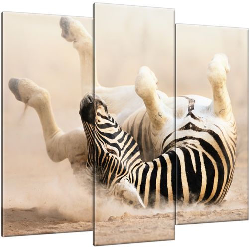 Obraz Tryptyk 90X80 Zebra Paski Zebry na Arena.pl