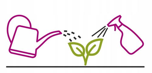 bopon - nawóz do roślin zielonych płyn 1l na Arena.pl