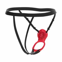 teazers harness red - intymny system wibrujący z pilotem usb