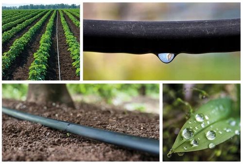 Linia kroplująca 16mm 100m z kompensacją 174 XXL Super Wytrzymała kropelka na Arena.pl