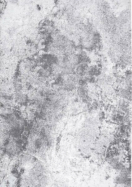 Dywan Moon Light Gray 200x300 Magic Home zdjęcie 1